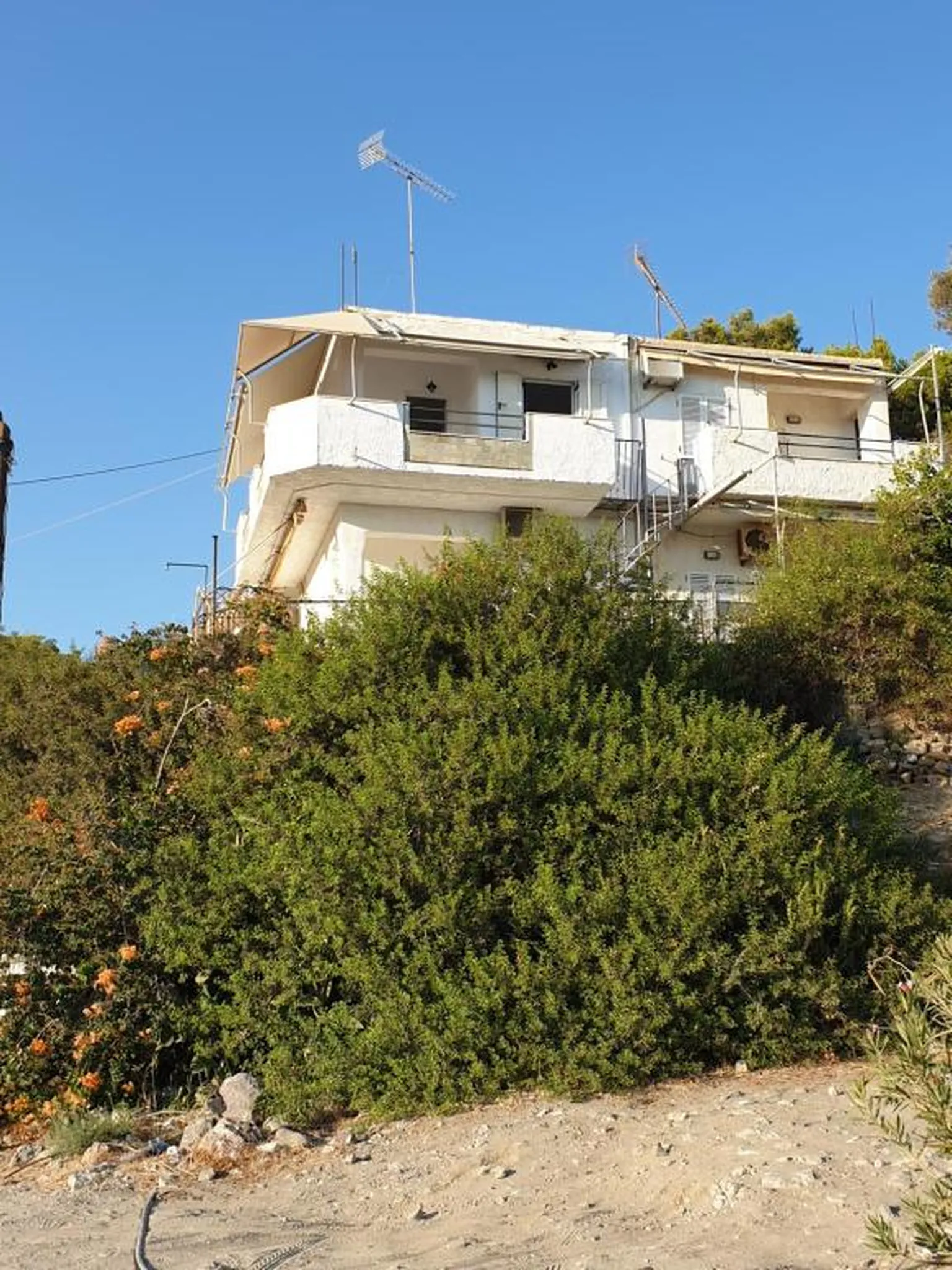 Εξωτερική όψη του καταλύματος μέσα από το πράσινο